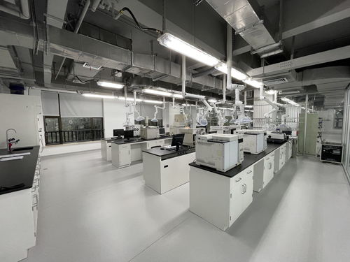 向地球深部進軍 山東能源集團深部煤炭數(shù)智化高效開采成套技術與工程應用引領煤炭工業(yè)高質量發(fā)展