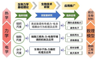西安交通大學“仿生工程與生物力學研究所(BEBC)”誠聘英才