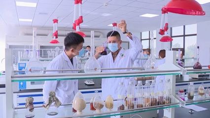 濰城:做強科技創(chuàng)新的"人才引擎"