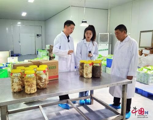 萬事皆不易 實干方能成