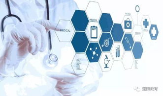 不考研相當于白讀的八大專業(yè)